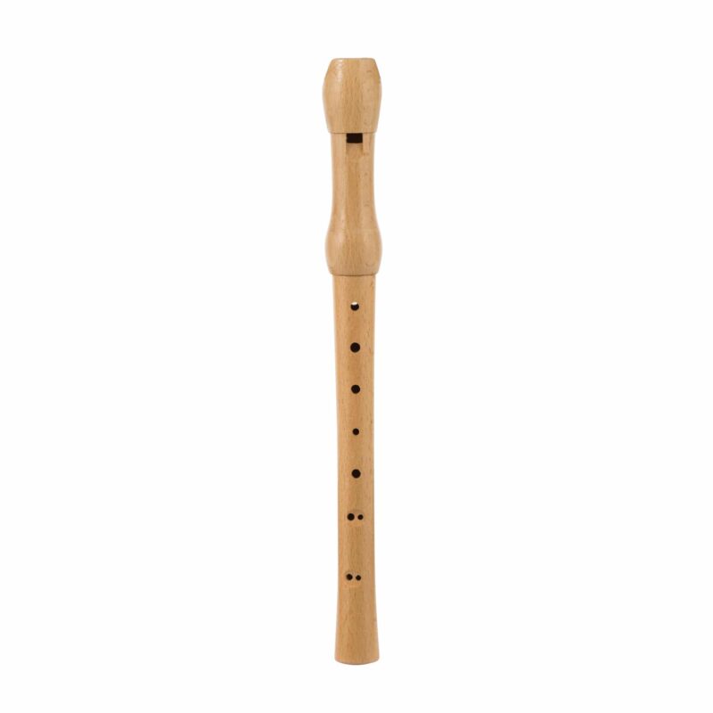 REC-Recorder-web