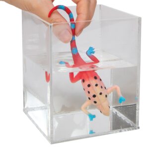CCRA-Color-Change-Revealeons-Dunk-Red2-web