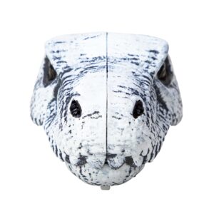 Chomp and Go Dino Skulls - Trex Front